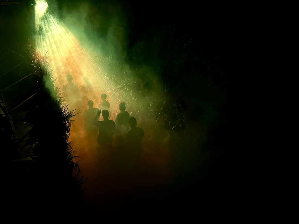Scary corn field with children's shadows inside under a spotlight.